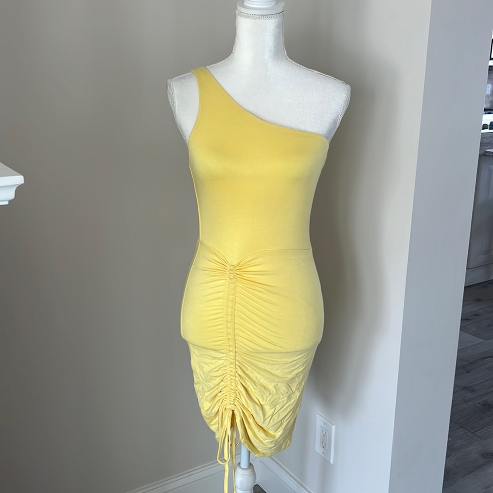 NWT Tiger Mist dress